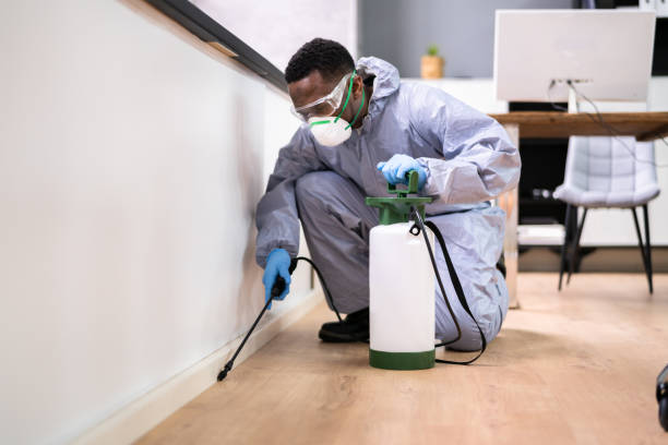 Best Fumigation Services  in Roy, UT